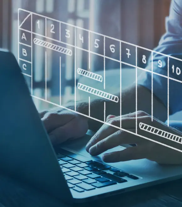 Freelance IT-Projektmanager 